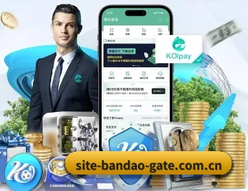 半岛体育官网 APP 深度功能