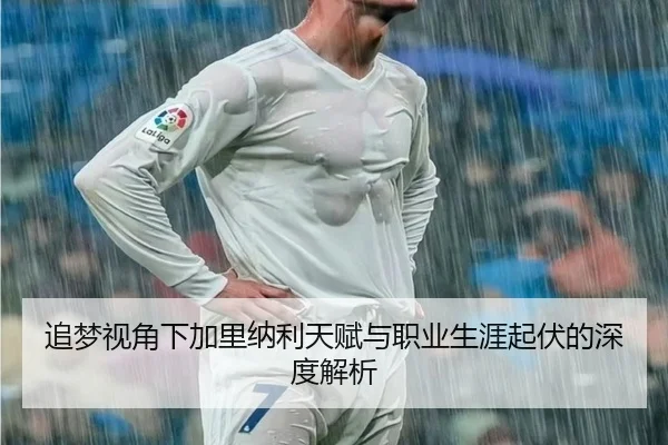 追梦视角下加里纳利天赋与职业生涯起伏的深度解析